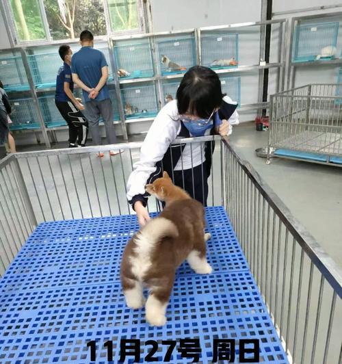 探秘阿拉斯加的大便周期（了解阿拉斯加居民的排便习惯及其对健康的影响）