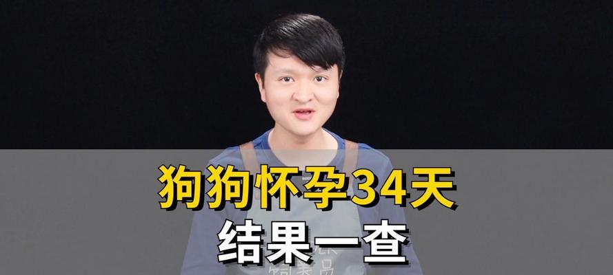 狗生产后多久可以再次怀孕的时间间隔（了解狗的生殖周期，合理安排繁殖计划）