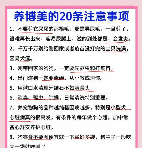 新手养狗必备宝典（给你的宠物注射疫苗，保护它的健康快乐生活！）