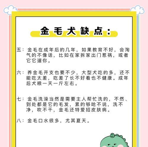 金毛成犬所需时间的探究（揭秘金毛成犬的时间及关键影响因素）
