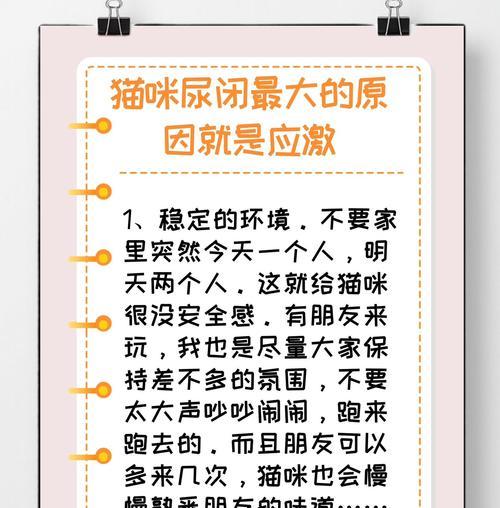 猫咪闭尿症状及预防方法（了解猫咪闭尿的症状，保护你的爱宠健康快乐）