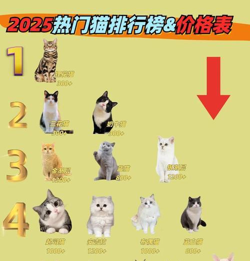 中国常见品种猫咪售价及（猫咪价格因品种而异，挑选合适的宠物伙伴需要了解市场行情）