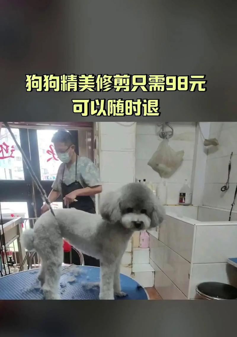 宠物店不推荐的5种狗，容易养活且无利润（了解这些容易饲养的狗狗品种，免去麻烦与压力）