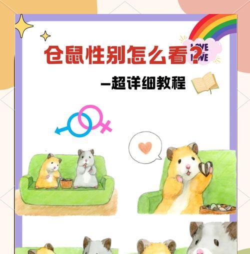 仓鼠的生育周期及繁殖特点（孕仓鼠的受孕期及产仔时间表）