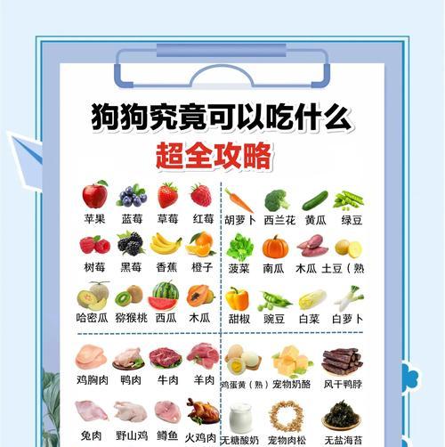 狗的饮食要点——每日饮食频率与合理摄入量（每天几顿最合适？以及狗狗的每餐饮食量掌握关键）