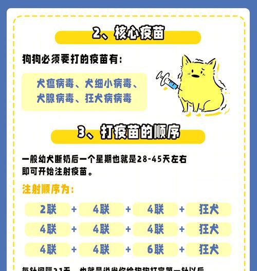狗狗疫苗后的驱虫时间掌握（疫苗与驱虫的正确顺序及时机选择）