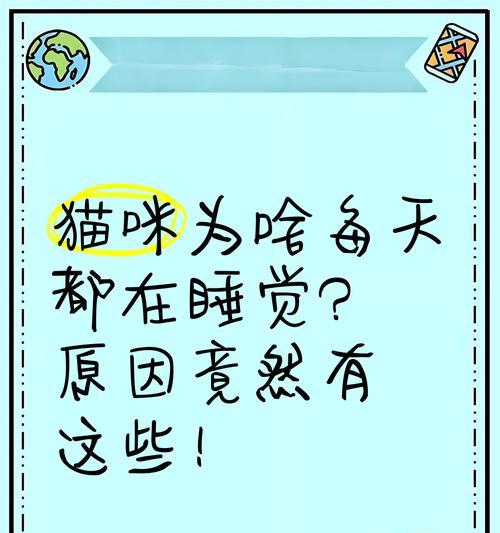 猫咪的正常睡眠时间（揭秘猫咪的睡眠奥秘，让你了解它们的生活习惯）