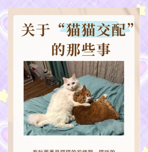 母猫多久会忘记小猫？（探讨母猫和小猫的亲子关系及时间限制）