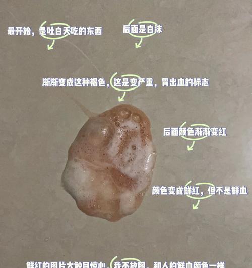 鸡骨架喂狗煮熟需谨慎（了解煮制时间，确保宠物健康）