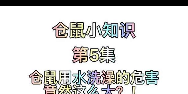 养仓鼠的坏处及注意事项（小心！养仓鼠可能带来的问题）