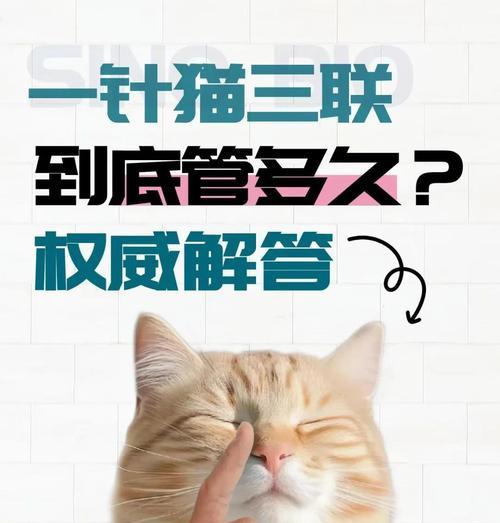 猫的育苗频率及注意事项（了解猫咪育苗的重要性以及合理的接种时间间隔）