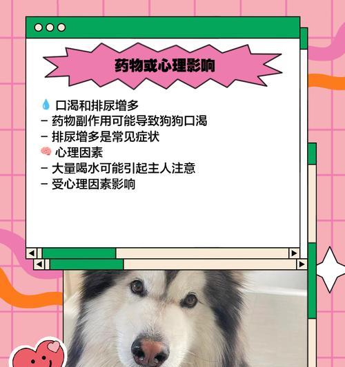 揭秘狗狗排斥喝水的“魔法”（探寻狗狗为何排斥饮水，如何改善水分摄入）