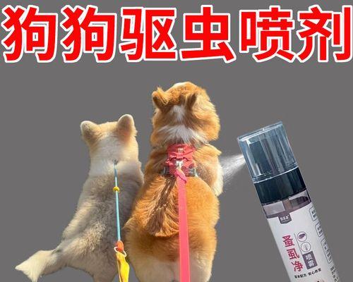 体外驱虫后多久能抱狗狗？（了解体外驱虫后与新宠物相处的时间）