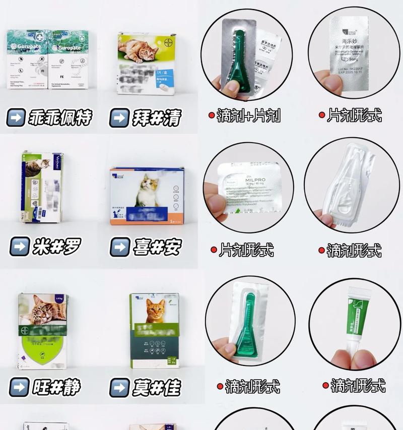 如何成为贴心的铲屎官（照顾猫咪度过炎热夏天的小窍门）