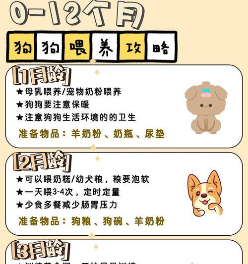 狗狗的每日合理喂食量（掌握合适的饮食规律，为宠物犬健康加分）