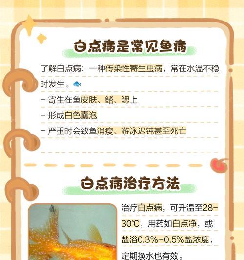 锦鲤白点病的预防和治疗方法（了解锦鲤白点病的原因及其预防措施）