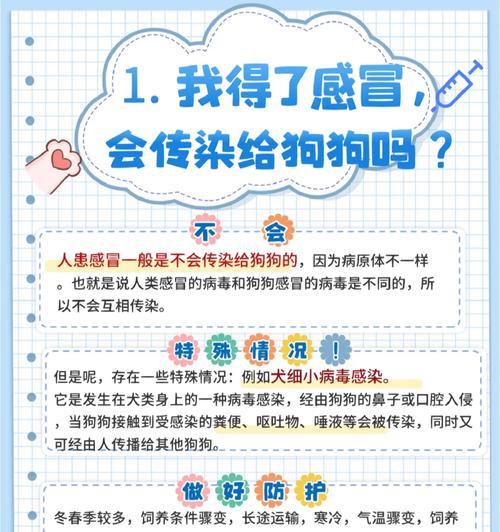 犬瘟狗狗发烧持续多久？（探究犬瘟狗狗发烧的持续时间及治疗方法）