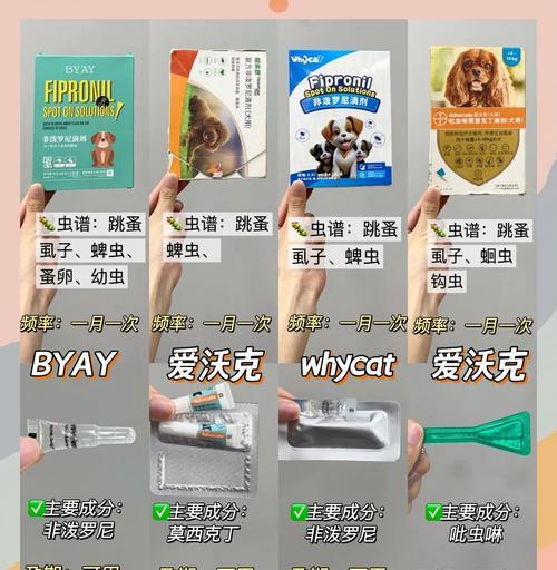 幼犬驱虫的时间间隔及注意事项（幼犬驱虫频率与健康关系密切，规律的驱虫能保证幼犬健康成长）