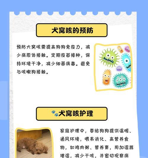 犬窝咳的康复时长及注意事项（犬窝咳的治愈需要时间，但正确的护理能加速恢复进程）