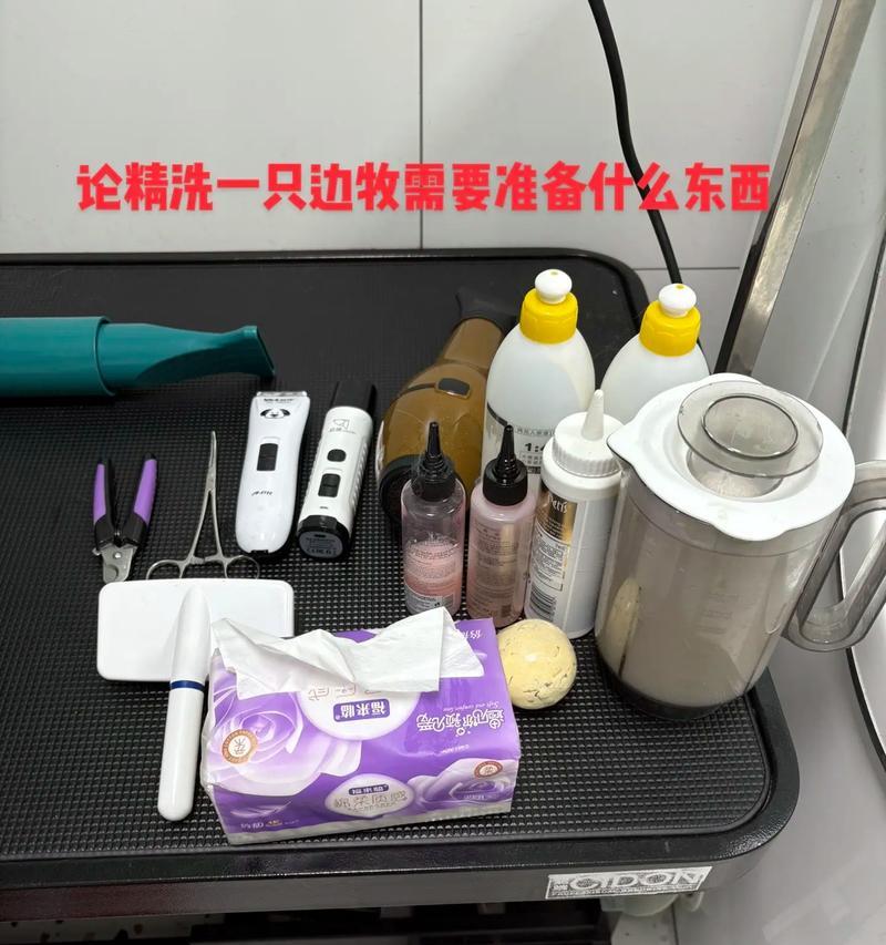 边牧新家第一次洗澡的最佳时机（适当时机让边牧舒适享受第一次洗澡）