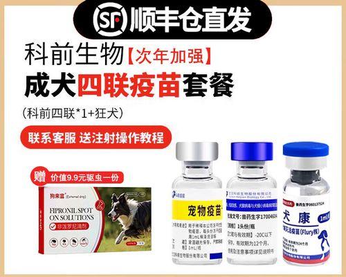 小狗疫苗后多久可以进行驱虫？（了解合理的时间安排和方法，保护小狗健康。）