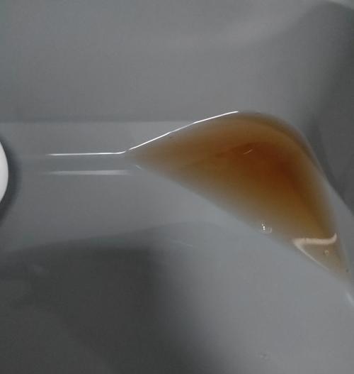 狗狗缺钙贫血症状及防治方法（了解你的宠物-狗狗缺钙贫血症状及如何保证其健康）