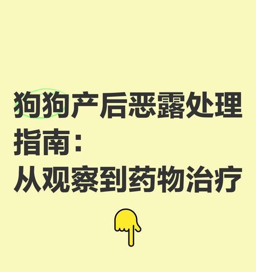 狗狗分娩后恶露排除时间及注意事项（分娩后恶露排干净需要多久？如何正确处理？）