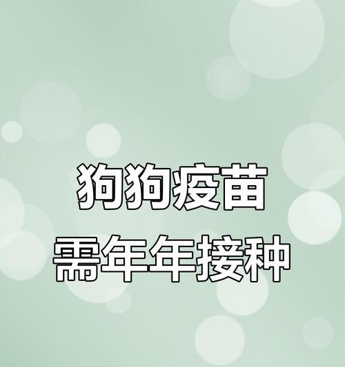 狗狗打育苗的最佳时机及注意事项（狗狗育苗时间表及关键事项解析）