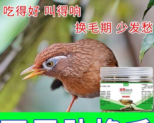 鸟类换羽周期及其重要性（揭秘鸟儿换羽的奥秘与影响）