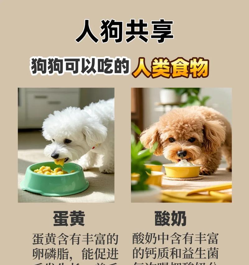 两个月大狗狗的饮食和护理指南（为你的小狗提供全面的护理，养得健康快乐）
