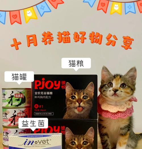 适合新手的五种便宜又好养的猫（为初次养猫的新手推荐的理想宠物伴侣）