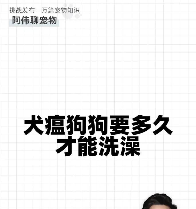 狗狗生完孩子后多久不能洗澡？（了解正确的洗澡时间，保护宝贝的健康）
