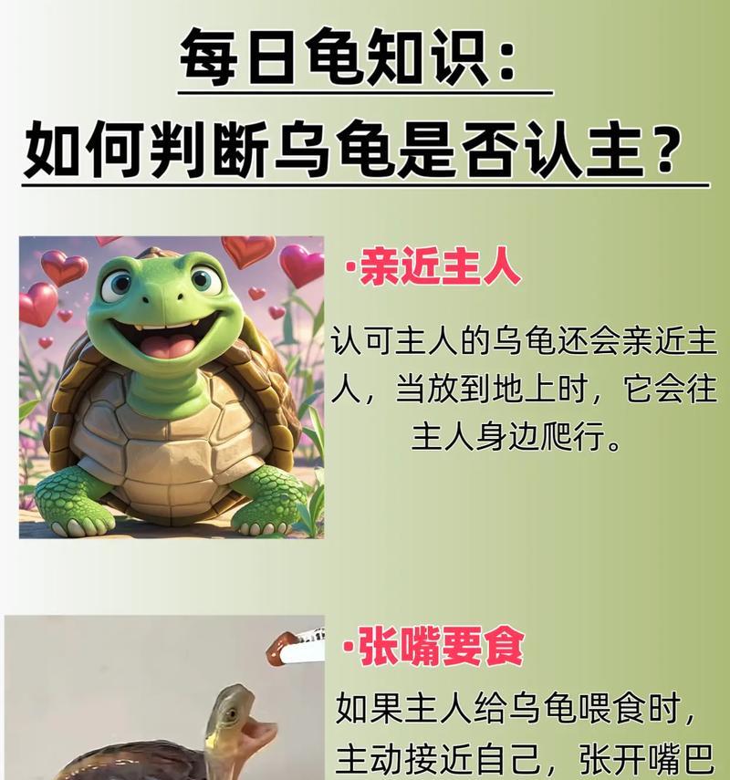 以巴西龟不吃东西能活多久？（探究以巴西龟不进食对其寿命的影响）