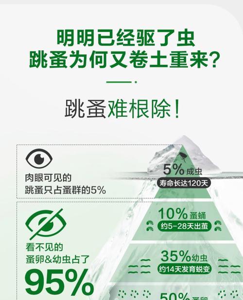 猫用打虫药的作用时间及注意事项（了解猫用打虫药的正确使用方法，保护宠物健康）