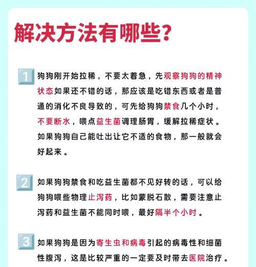 小狗拉稀怎么办？综合治疗方法大揭秘！（以食疗为主的综合治疗方法，轻松解决小狗拉稀问题。）
