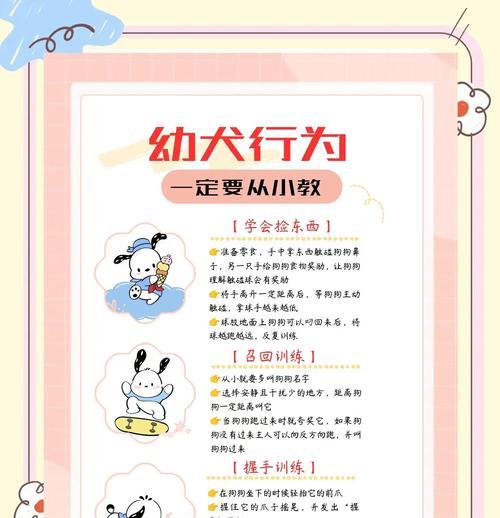 实训犬从小教导，轻松掌握6个要点（以其简单为主，教你如何培养一只听话的狗狗）