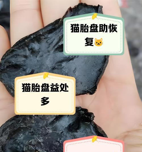 母猫分娩胎盘未排除怎么办？（问题和解决方法）
