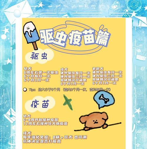 科学喂养贵宾犬——合理确定狗粮饮食量（根据具体情况，了解贵宾犬的饮食需求，制定适合它的狗粮量）