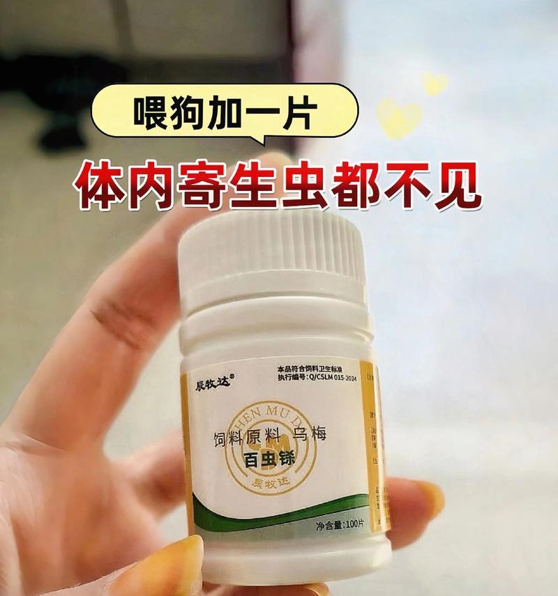 探索爬虫类宠物的奇妙世界（了解与养护爬行动物，探寻它们的魅力）