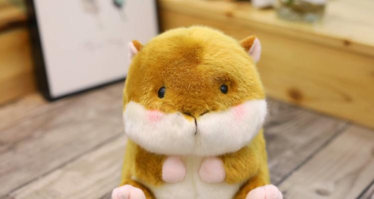 了解熊猫仓鼠（熊猫仓鼠的特点、价格及养护要点）