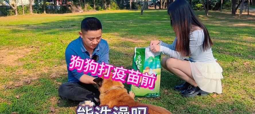 室外养狗洗澡频率的科学指南（根据狗狗的品种、活动水平和天气情况来确定洗澡周期）