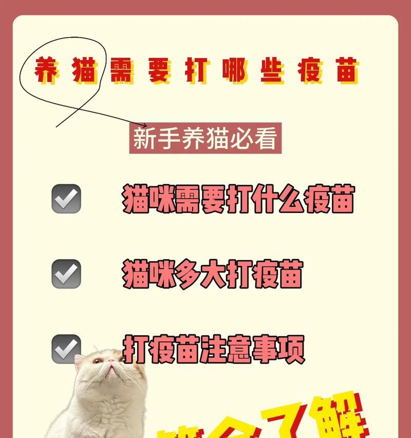 猫洗完澡后扎疫苗的最佳时间（疫苗接种时机与洗澡的关系）