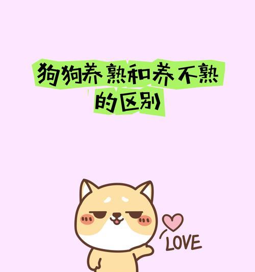 狗狗为什么呲牙？（呲牙的意义与表达方式）