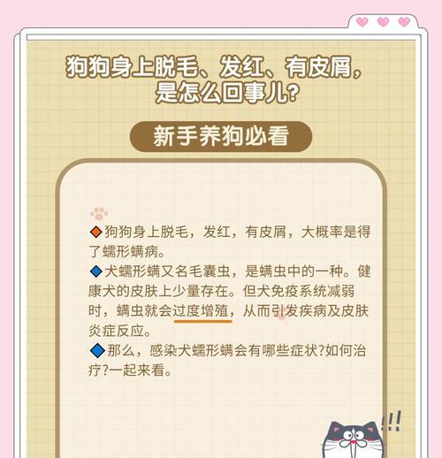 狗得螨虫的症状表现（了解狗螨虫感染的常见症状及预防方法）