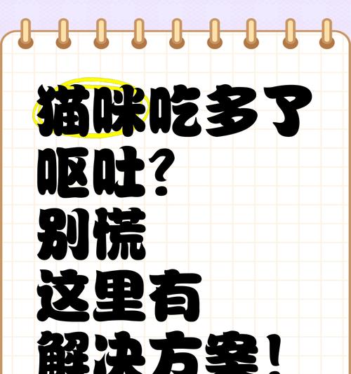 猫咪吐了多久能吃？（探究猫咪吐后进食的最佳时间）