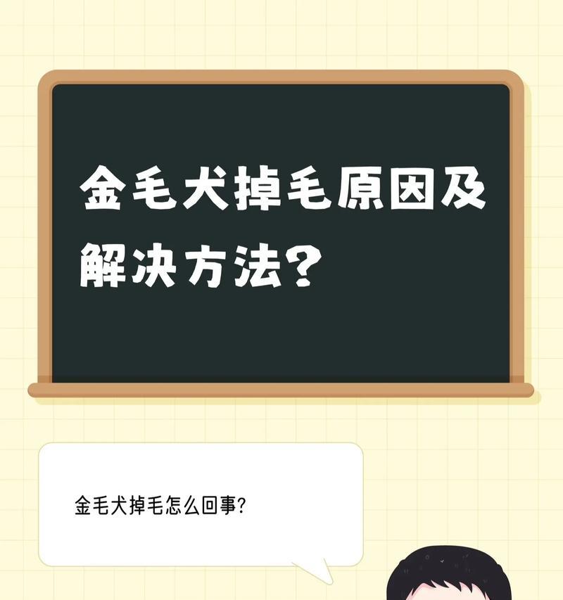 狗狗鼻子掉毛后多久能长出来？（了解狗狗鼻子掉毛的原因及应对方法）