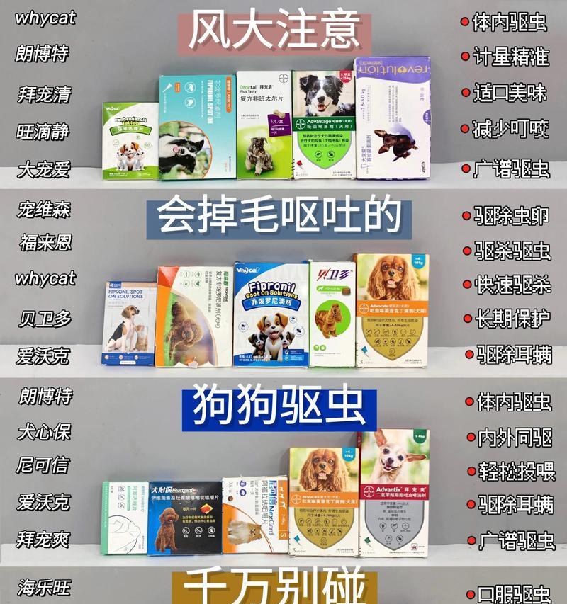 正确驱虫方法，保护狗狗健康（如何正确给狗狗进行驱虫，让它们远离寄生虫）