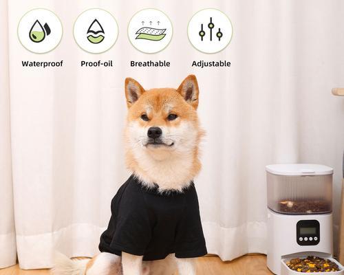 狗狗衣服哪些品牌好？（为你的宠物选择最佳的时尚外装）