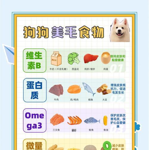 萨摩耶幼犬补钙需要多长时间？（探究萨摩耶幼犬补钙所需时间及注意事项）