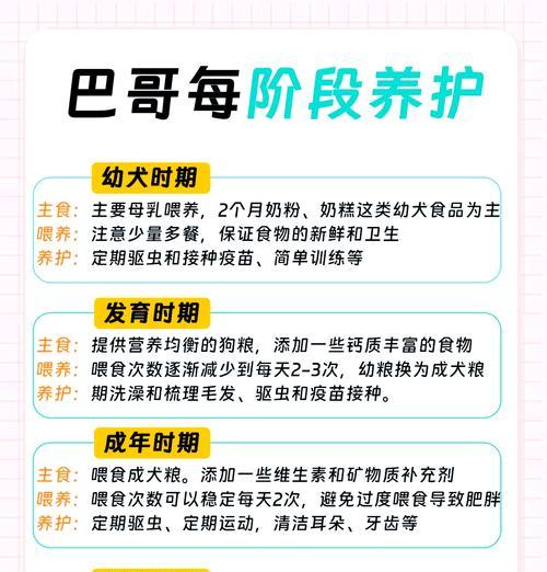 以巴哥犬怀孕后的饮食安排（保证巴哥犬健康的关键食物与禁忌）